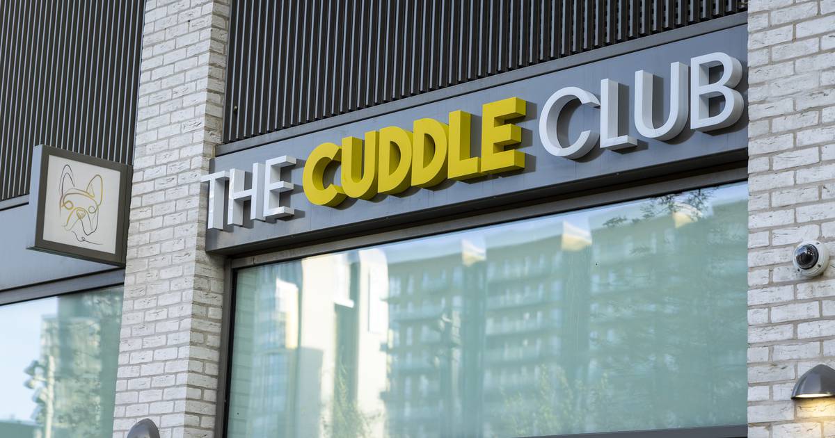 The Cuddle Club Dog Grooming Salon & Spa Wembley Park
