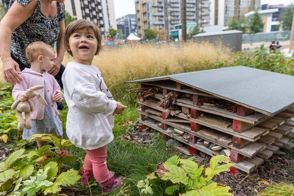 Bug hotel in Union Park in Wembley Park