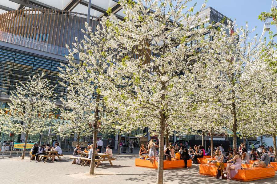 Is This The Ultimate Oasis Experience Wembley Park - slwhwxl