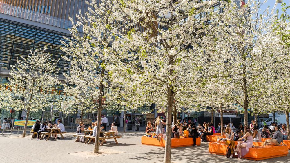 Sunshine in Market Square in Wembley Park