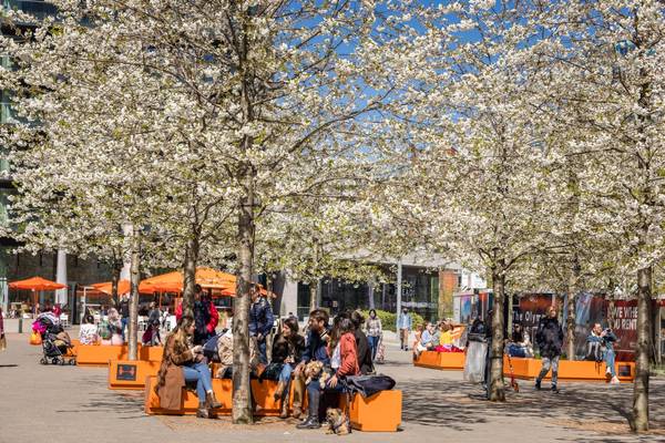 Spring cherry blossom trees in bloom on Olympic Way at Wembley Park with people sitting on orange benches ahead of the FA Cup Final 2026