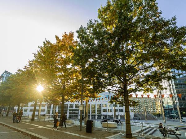 Arena Square at Wembley Park in autumn with OVO Arena Wembley visible in background